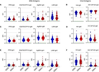 Impact of in-utero exposure to HIV and latent TB on infant humoral responses